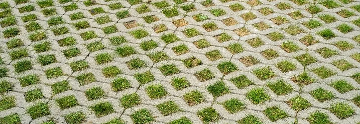 Rasengittersteine mit Gras